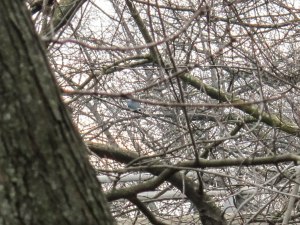 ...but this is the best I can do.