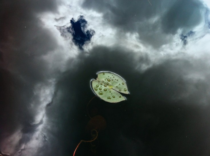 LilyPad in the Clouds 